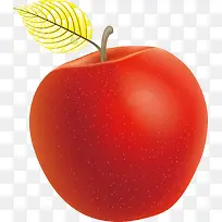 ��ɫƻ��ˮ����ͨ�����ز�-������