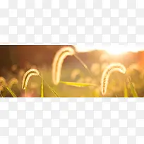 ¹·Ò»°Ñ²Ý-¿ÕÈôÍø ¹·Ò»°Ñ²Ý-¿ÕÈôÍø