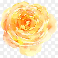 牡丹花正面水彩风格-空若网 牡丹花正面水彩风格-空若网