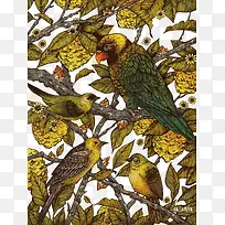 ʸ��ˮ����Ҷ����-������