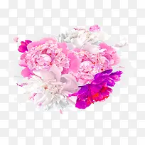 ��ɫĵ������-������