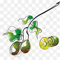 猕猴桃-空若网 猕猴桃-空若网