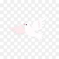 白色的信鸽-空若网 白色的信鸽-空若网