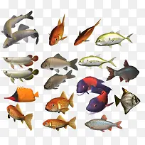 ����ͼ����ͨ�����ز�-������