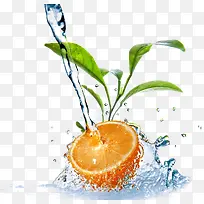 苹果包装-空若网 苹果包装-空若网