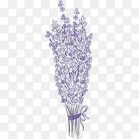 ��ɫʸ���ֻ�޹�²�-������