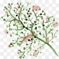 �ֻ�ˮ����֦-������