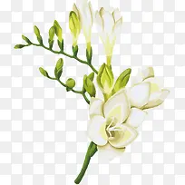 ��ɫ����-������