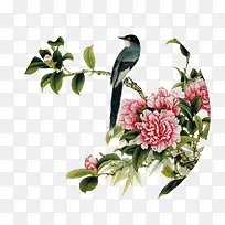 ����ڻ�-������