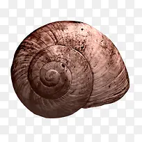 田螺-空若网 田螺-空若网