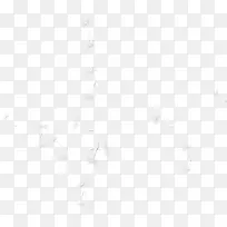 漂亮白色蒲公英-空若网 漂亮白色蒲公英-空若网