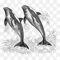 �ڰ׺�������廭-������