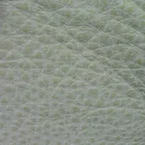 浅色皮纹背景-空若网 浅色皮纹背景-空若网