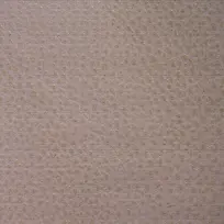 ǳɫƤ�ﱳ��-������