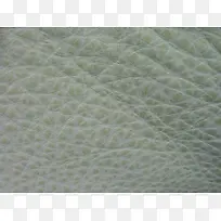 ǳɫƤ�Ʊ���-������