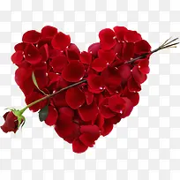 创意合成玫瑰花效果摄影-空若网 创意合成玫瑰花效果摄影-空若网