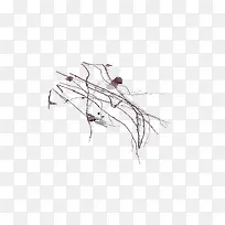 ��ή��֦�ز�-������