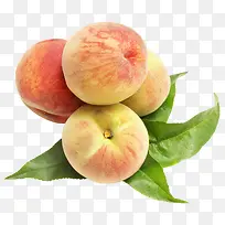 ��ζ����-������