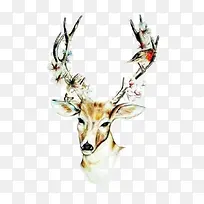 Ψ������-������