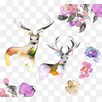 动物-空若网 动物-空若网