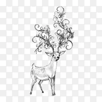 动物-空若网 动物-空若网