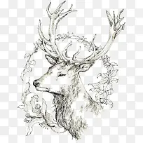 动物-空若网 动物-空若网