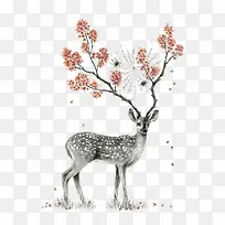 动物-空若网 动物-空若网