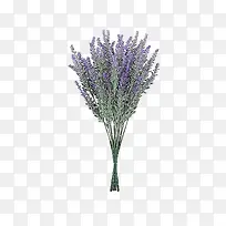 ޹�²�ʵ��ͼ-������