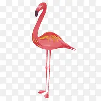 卡通可爱小动物装饰设计动物头像-空若网 卡通可爱小动物装饰设计动物头像-空若网