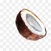 矢量椰子-空若网 矢量椰子-空若网