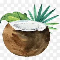 水彩手绘新鲜椰汁-空若网 水彩手绘新鲜椰汁-空若网