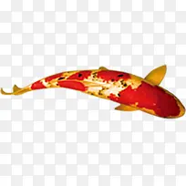 金色全屏荷塘创意-空若网 金色全屏荷塘创意-空若网