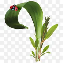 Â̲Ý-¿ÕÈôÍø Â̲Ý-¿ÕÈôÍø