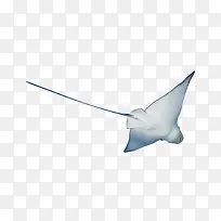 º£ÓãÄ£ÐÍ-¿ÕÈôÍø º£ÓãÄ£ÐÍ-¿ÕÈôÍø