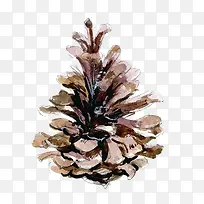 手绘水彩松塔-空若网 手绘水彩松塔-空若网