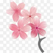 矢量图粉色开展桃花-空若网 矢量图粉色开展桃花-空若网