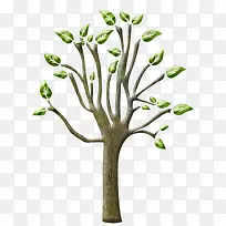 大树-空若网 大树-空若网