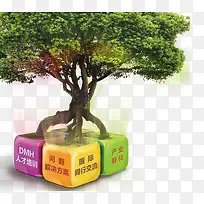 �˲���ѵ�ɳ���-������