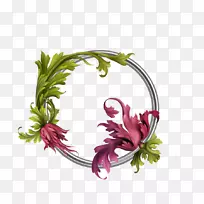 ��������-ˮ�ʻ���-������