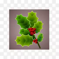 ʥ������ͨ���໨-������