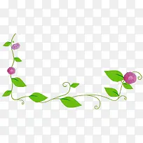绿色牵牛花花藤边框-空若网 绿色牵牛花花藤边框-空若网