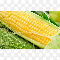 ÓñÃ׸ßÇå±³¾°Ê¸Á¿ËزÄ-¿ÕÈôÍø ÓñÃ׸ßÇå±³¾°Ê¸Á¿ËزÄ-¿ÕÈôÍø