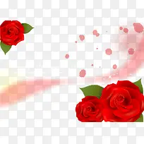 õ�廨����ʸ���ز�-������