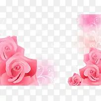 ���� õ�廨 ����ʸ���ز�-������