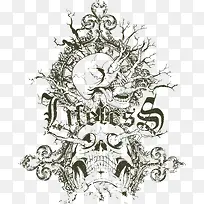 �۾��ﳤ��֦������-������