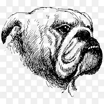 矢量哈巴狗-空若网 矢量哈巴狗-空若网