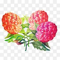 手绘带绿色枝叶的覆盆子素材-空若网 手绘带绿色枝叶的覆盆子素材-空若网