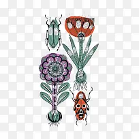 ˮ��ֲ��-������