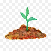 水彩画小花-空若网 水彩画小花-空若网