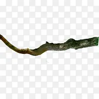 创意摄影大山深处的树木树枝-空若网 创意摄影大山深处的树木树枝-空若网